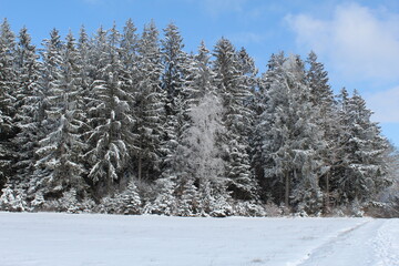 Winterwelt Schwarzwald