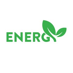 energy logotype. the letter energy forms a leaf that grows