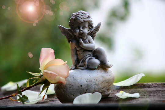 engel mit rose trauerkarte