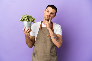Brazilian Gardener man holding a plant over isolated purple background thinking an idea while...