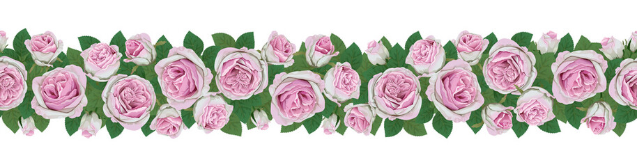 Pink rose flowers and leaves isolated on white background. Horizontal seamless background with roses. Vector illustration.