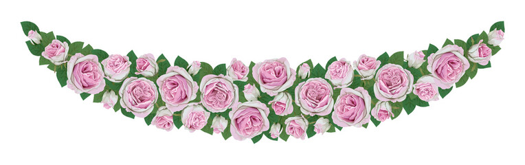 garland of pink roses. Pink rose flowers, green leaves garland, white background. Wedding invitation banner. Vector illustration. Floral arrangement. Design template greeting card