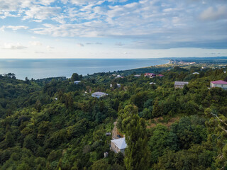 Fototapeta na wymiar Beautiful view from the drone on the houses, large vegetation, the sea. Concept of living by the sea