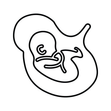 Embrio Bilder – Durchsuchen 840 Archivfotos, Vektorgrafiken und Videos ...