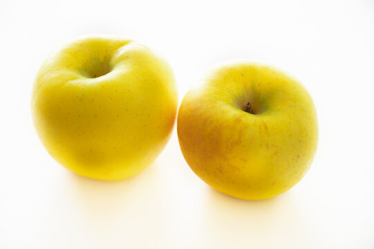 14 Best 信濃ゴールド Images Stock Photos Vectors Adobe Stock