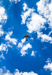 plane in the sky