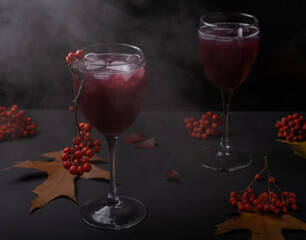 Red drink with ice in a glass with a branch of rowan, around autumn leaves and bunches of rowan on a dark background with a dark foggy haze. Autumn still life with halloween mood.