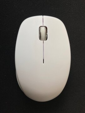 Mouse