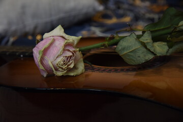 Guitar with notes and dry rose. Nostalgia romantic picture. Six-strings acoustic classic guitar...