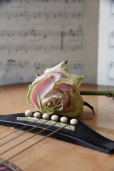 Guitar with notes and dry rose. Nostalgia romantic picture. Six-strings acoustic classic guitar...