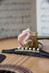 Guitar with notes and dry rose. Nostalgia romantic picture. Six-strings acoustic classic guitar...