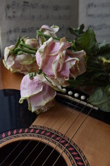 Guitar with notes and dry rose. Nostalgia romantic picture. Six-strings acoustic classic guitar...