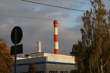 plant with smoke