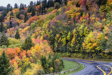 Smokey Mountain Tennessee Autumn foliage on curved road