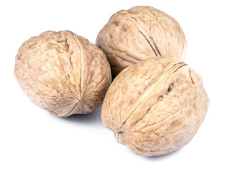 Walnut on a white background