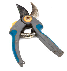 Garden pruner on a white background