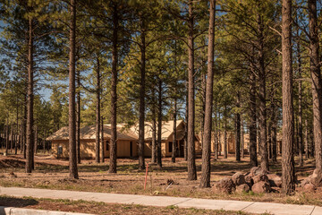 New home construction with pine trees in foreground