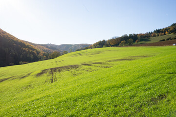 Fototapeta na wymiar countryside in switzerland 