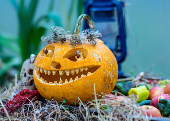 carved pumpkin with a scary smile, spiders and cobwebs, skull, autumn dry leaves, grass background,...