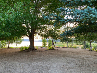 lakeside hiking trail picnic area national park with pine trees and clearing