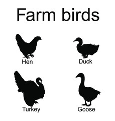 Farm fowl birds vector silhouette illustration isolated on white background. Domestic poultry: Turkey, goose, hen chicken, duck vector. Ranch animals. Organic food symbol. Butcher shop restaurant sign