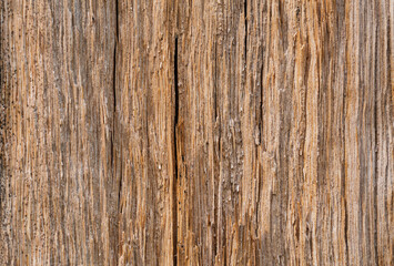 Wooden background - view of the sawn wood. Horizontal background with space for text