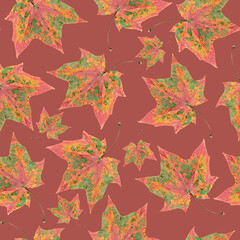 autumn seamless pattern with scanned dried maple leaves on a vine background