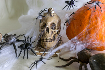 decoration and holiday concept, halloween theme, orange pumpkin and skull wrapped in spider web, spider attack, halloween