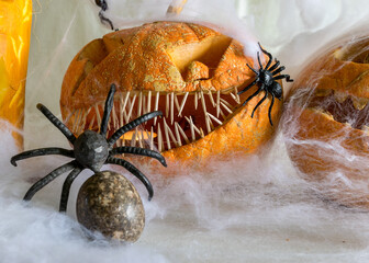 carved pumpkin with a scary smile, spiders, white cobweb background, decoration and holiday...