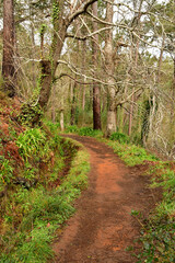 Madeiral, Camacha, Portugal - february 21 2018 : hiking trail in Camacha area