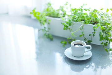 emon Melissa (Melissa) in a flower pot on the kitchen table, a Cup of strong coffee, kitchen interior in light colors, Scandinavian style, home garden in the kitchen, still life 