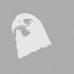 illustration of an eagle