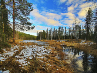 Mala riverside in Mala-Storforsens nature reserve in Sweden - 464568008