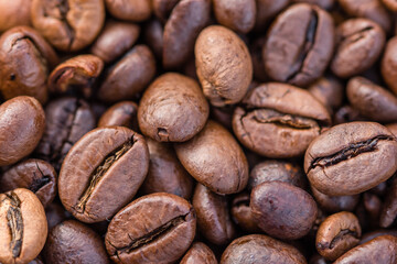 Close-up shot of aromatic Arabica coffee beans