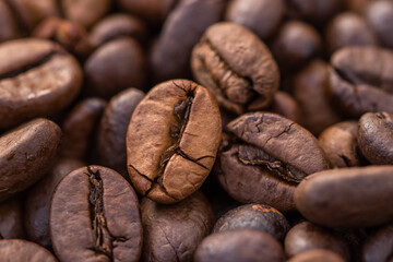 Close-up shot of aromatic Arabica coffee beans