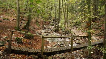 Hohes Venn eifel wasserfall Sawe Satte