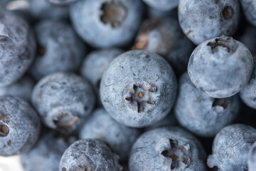 Close-up shot of delicious vibrant coloured blueberries