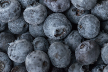 Close-up shot of delicious vibrant coloured blueberries