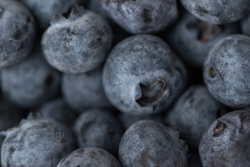 Close-up shot of delicious vibrant coloured blueberries