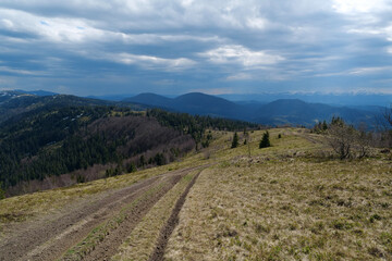 Obraz premium View of Carpathian Mountains in Ukraine