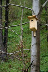Birdhouse on a tree in the forest