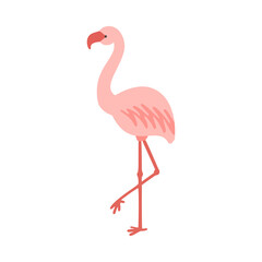 Standing cute pale pink flamingo vector illustration