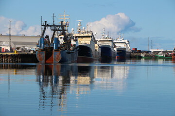 Four fishing boats are moored in the port under unloading