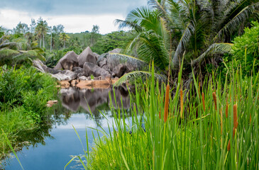 Beautiful nature of the sea tropical landscape. Exotic tropical nature of the Seychelles, a white...