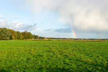 rainbow over the field