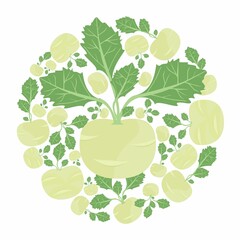Kohlrabi  in a circle. Vector flat design template. Background of food, farm, gardening or horticulture. - 464573809