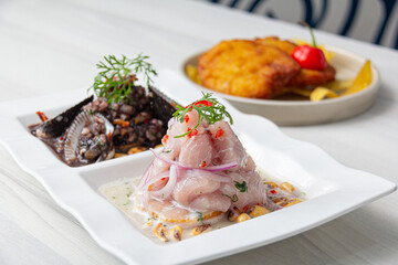 Duo of Peruvian ceviche, black shells and classic fish ceviche.
