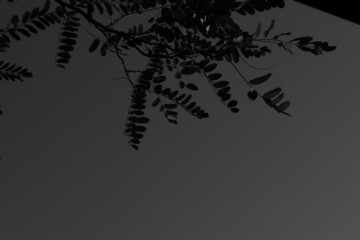 Liguria, Italy - October 10, 2021: Beautiful photography in black and white to the ligurian places  with panoramic view to the old buildings and clear sky in the background.