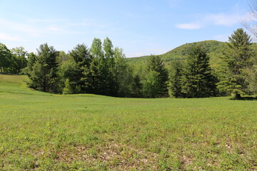 green field with hill in background