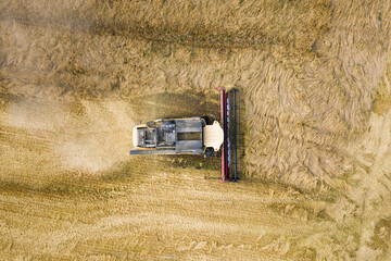 Aerial view of combine harvester harvesting large ripe wheat field. Agriculture from drone view.